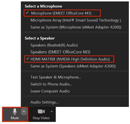 Mic/Speaker choice pane